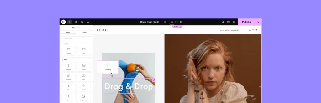 Elementor WordPress Page Builders